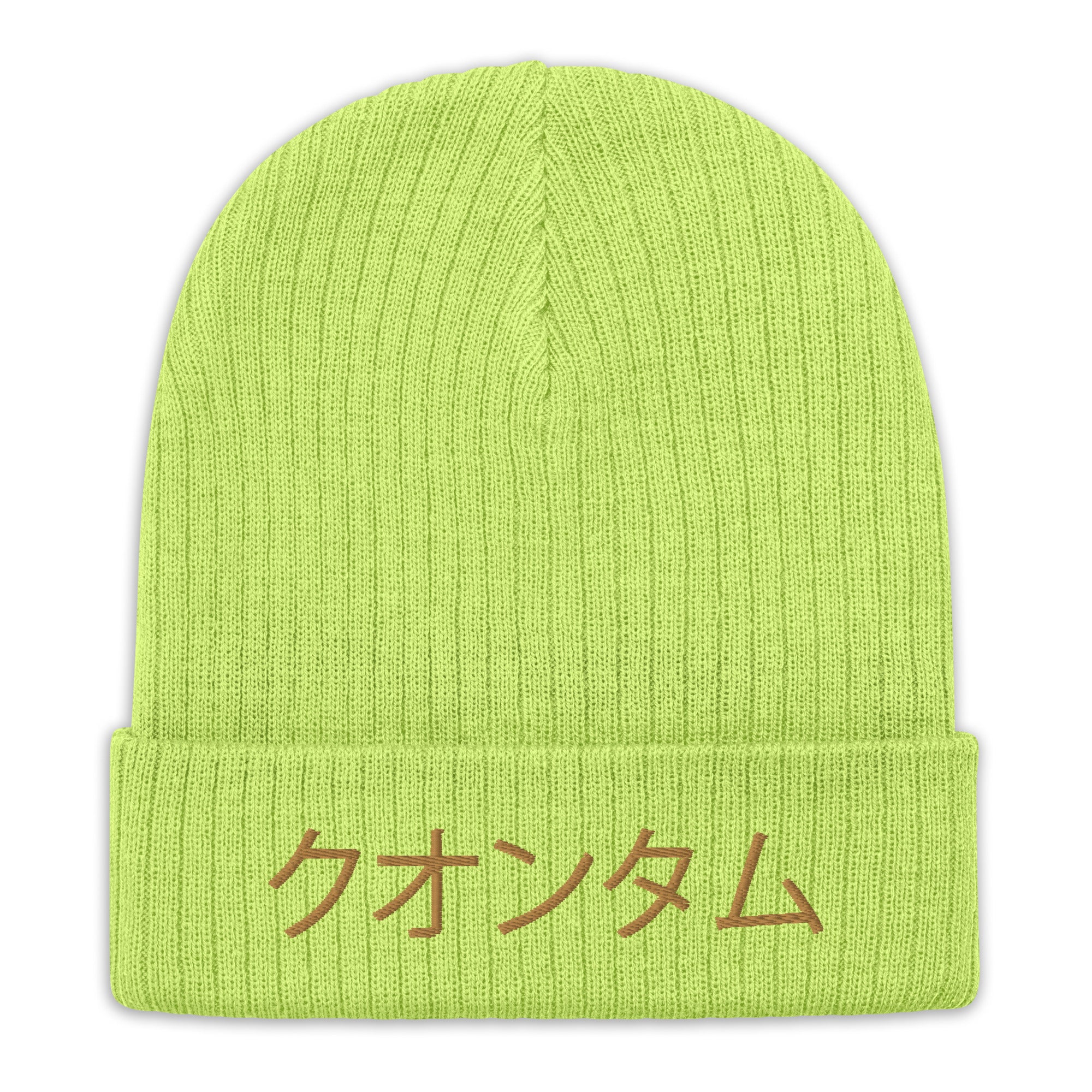 Quantum Ribbed knit beanie