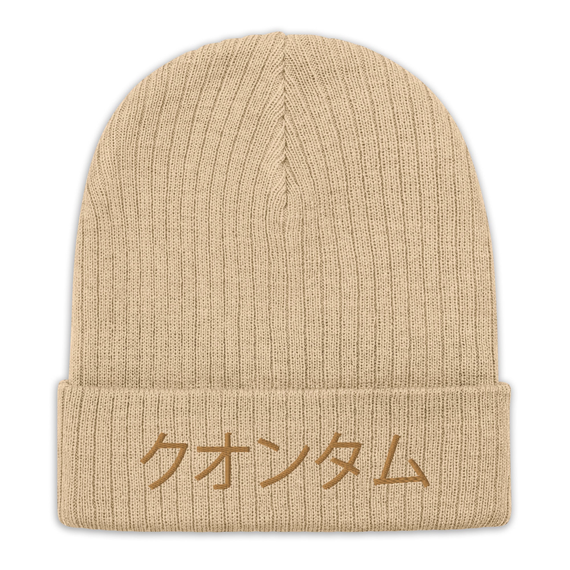 Quantum Ribbed knit beanie