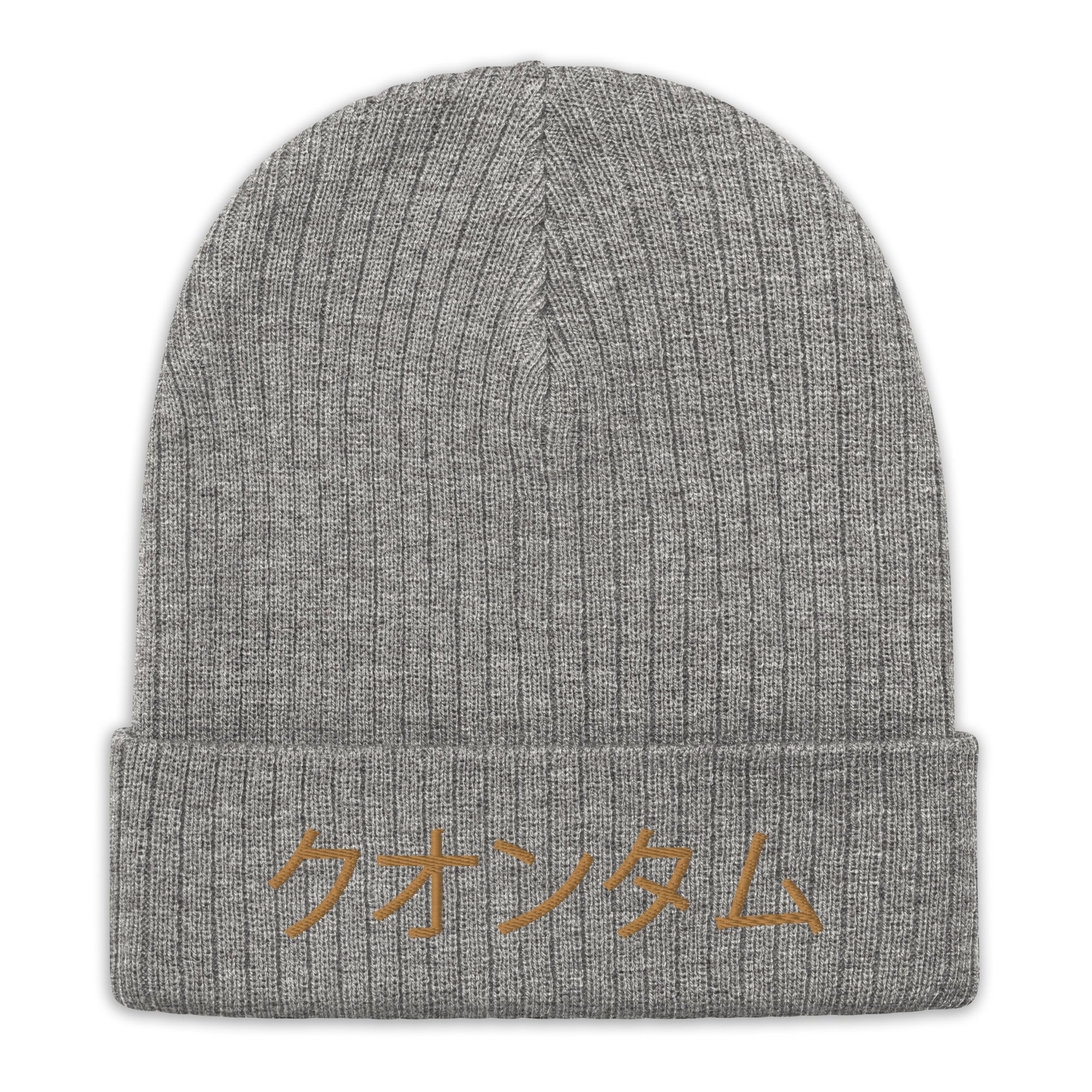 Quantum Ribbed knit beanie