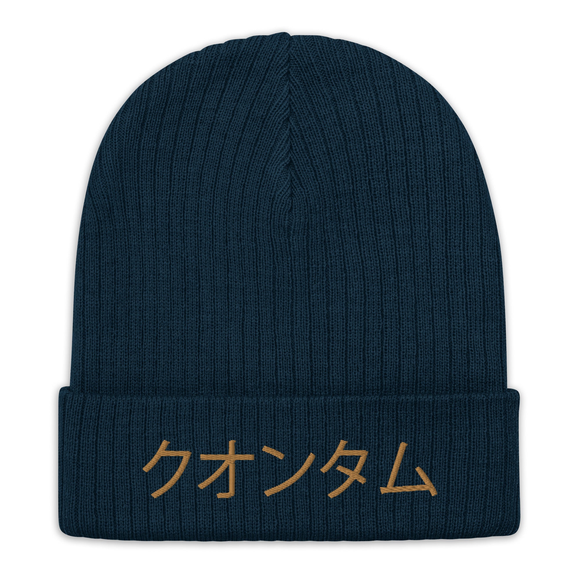 Quantum Ribbed knit beanie