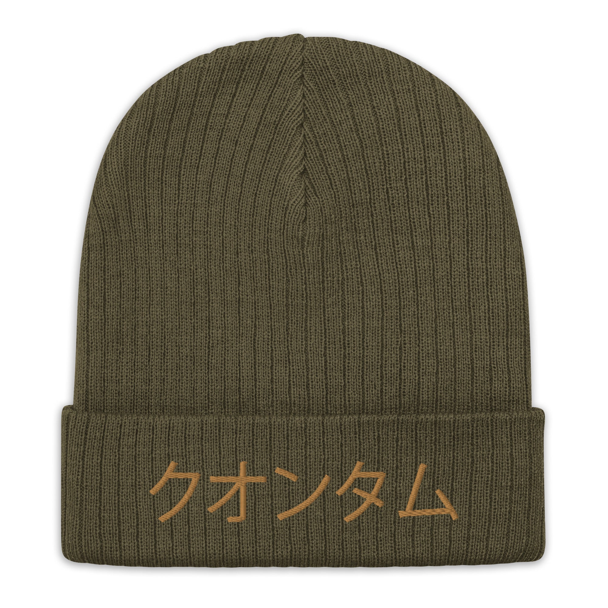 Quantum Ribbed knit beanie